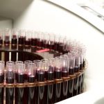 Muestras de vino en un laboratorio