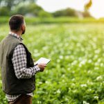Agricultor con tablet en la mano observa el crecimiento y la salud de sus cultivos