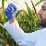Científico joven observa una muestra de tierra en un cultivo